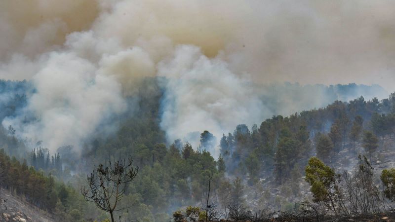 ভয়াবহ দাবানলে পুড়ছে ইসরায়েল